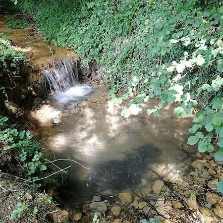 Domaine Moulin De Quincenat Daire Champagnat  Dış mekan fotoğraf