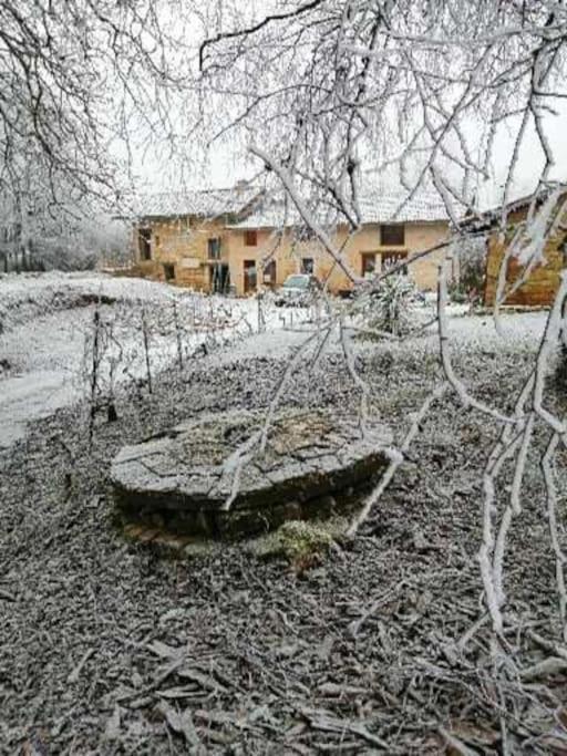 Domaine Moulin De Quincenat Daire Champagnat  Dış mekan fotoğraf
