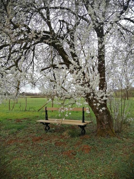 Domaine Moulin De Quincenat Daire Champagnat  Dış mekan fotoğraf