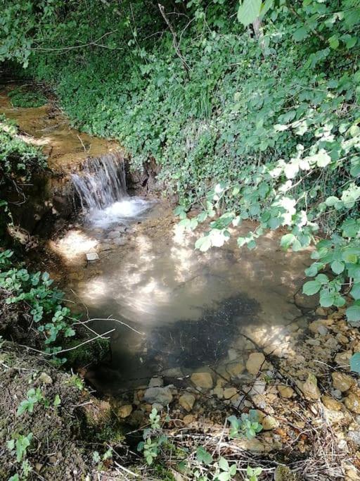 Domaine Moulin De Quincenat Daire Champagnat  Dış mekan fotoğraf