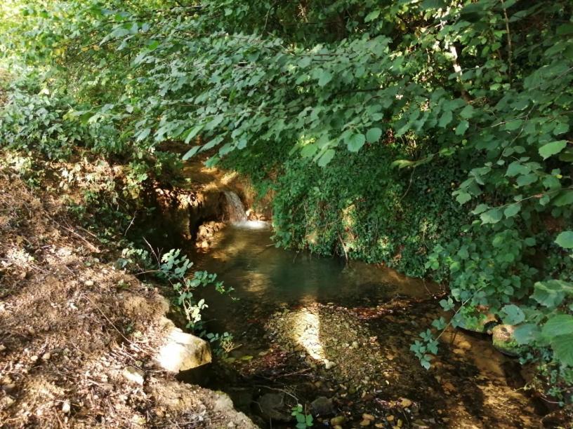 Domaine Moulin De Quincenat Daire Champagnat  Dış mekan fotoğraf